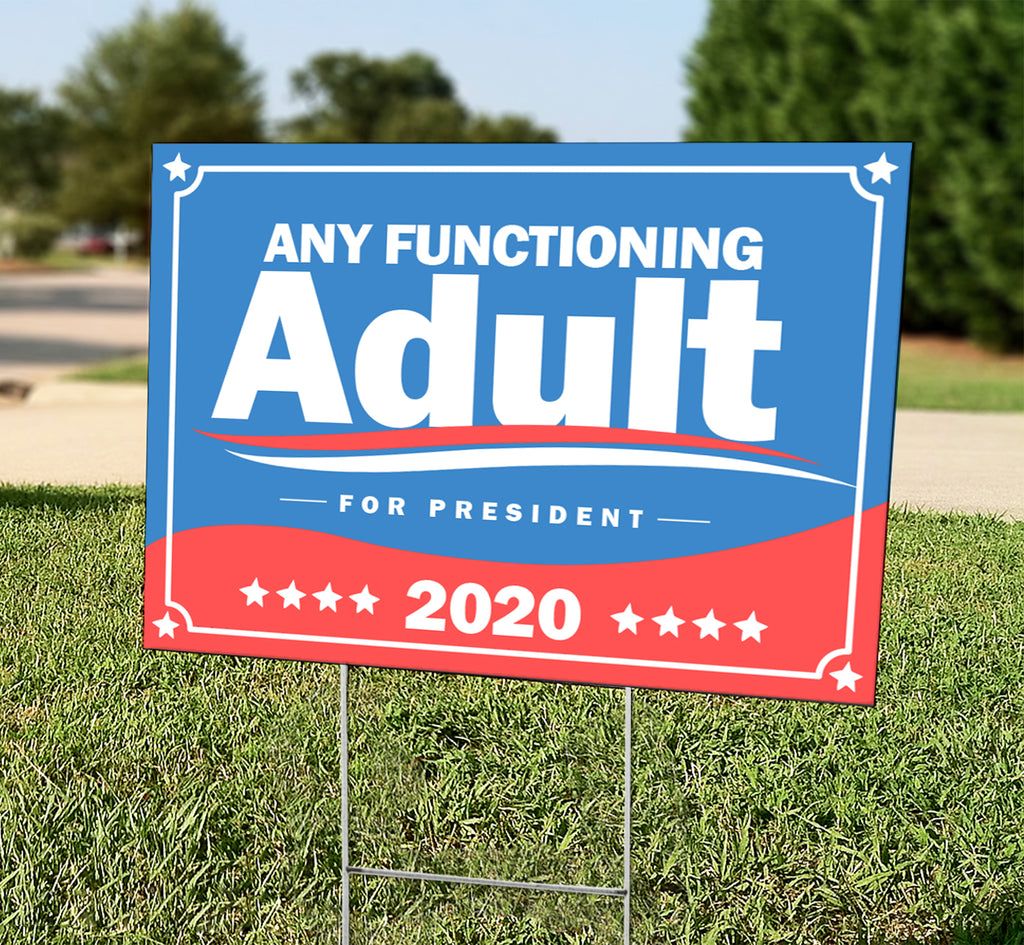 Any Functioning Adult Any Functioning Adult
