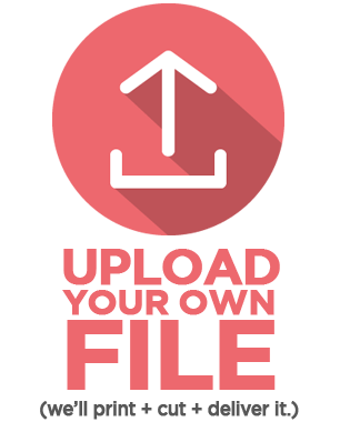 Upload Your Own File